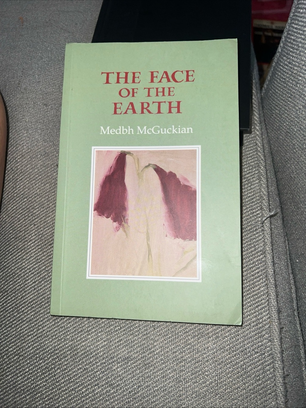 "The Face of the Earth" by Medbh McGuckian - Paperback